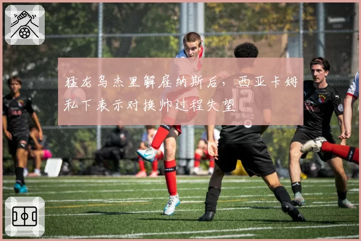 猛龙乌杰里解雇纳斯后，西亚卡姆私下表示对换帅过程失望