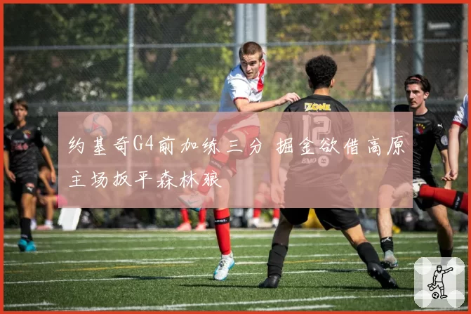 约基奇G4前加练三分 掘金欲借高原主场扳平森林狼